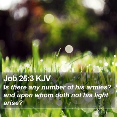 Job 25:3 KJV Bible Verse Image