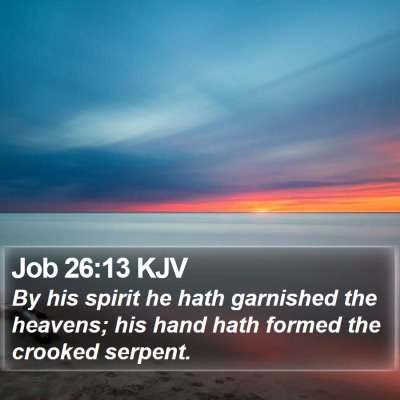 Job 26:13 KJV Bible Verse Image