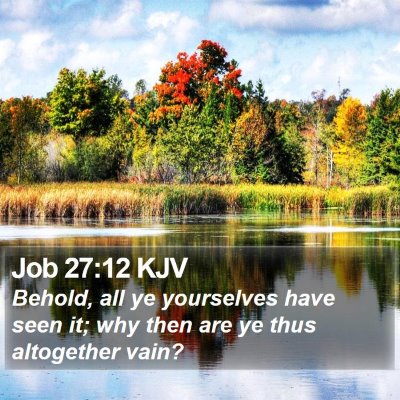Job 27:12 KJV Bible Verse Image