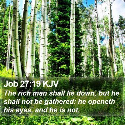 Job 27:19 KJV Bible Verse Image