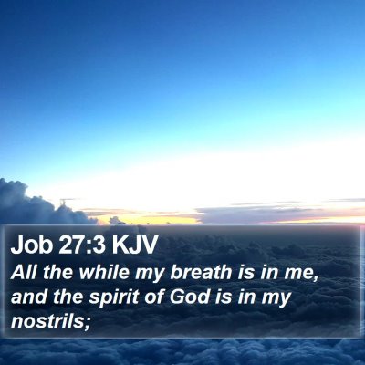 Job 27:3 KJV Bible Verse Image