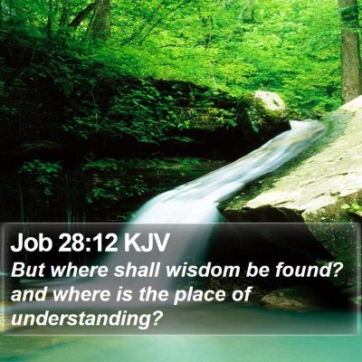 Job 28:12 KJV Bible Verse Image