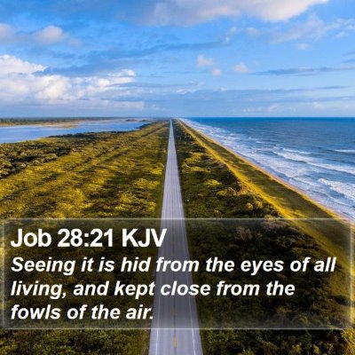 Job 28:21 KJV Bible Verse Image