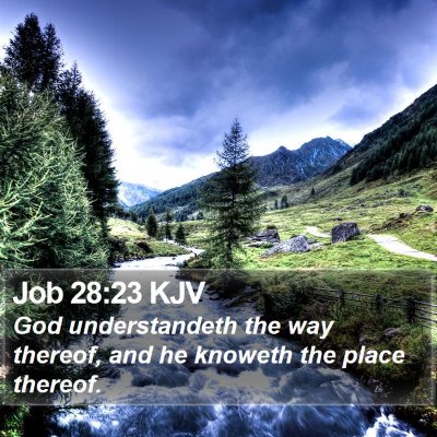 Job 28:23 KJV Bible Verse Image