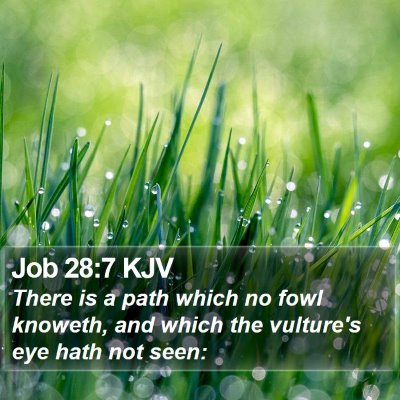 Job 28:7 KJV Bible Verse Image