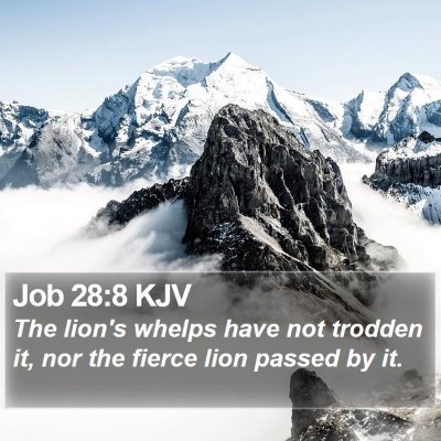 Job 28:8 KJV Bible Verse Image