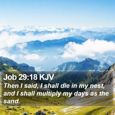 Job 29:18 KJV Bible Verse Image