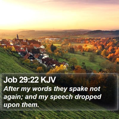 Job 29:22 KJV Bible Verse Image
