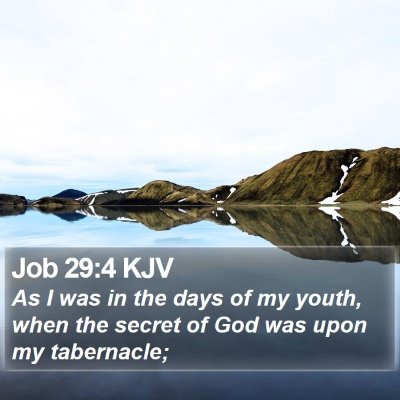 Job 29:4 KJV Bible Verse Image