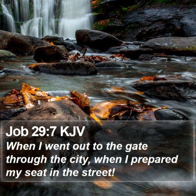 Job 29:7 KJV Bible Verse Image