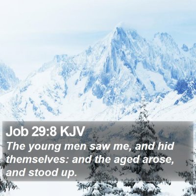 Job 29:8 KJV Bible Verse Image
