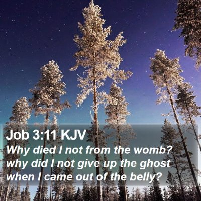 Job 3:11 KJV Bible Verse Image