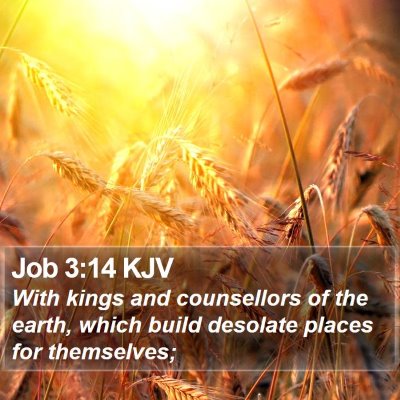 Job 3:14 KJV Bible Verse Image