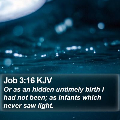 Job 3:16 KJV Bible Verse Image