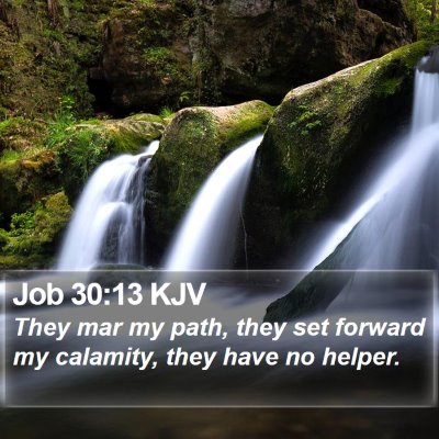 Job 30:13 KJV Bible Verse Image