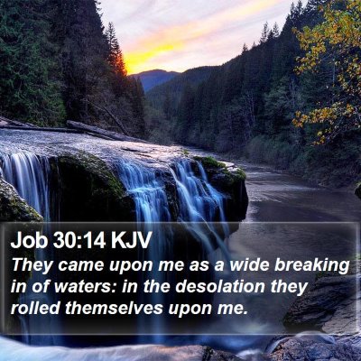 Job 30:14 KJV Bible Verse Image