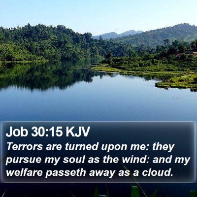 Job 30:15 KJV Bible Verse Image