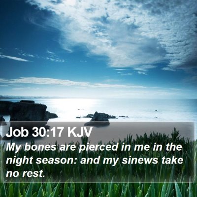 Job 30:17 KJV Bible Verse Image