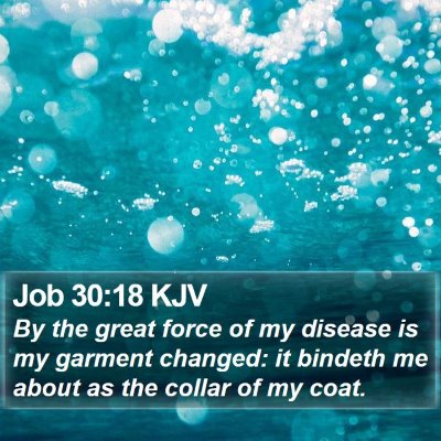 Job 30:18 KJV Bible Verse Image