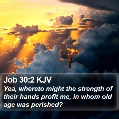 Job 30:2 KJV Bible Verse Image
