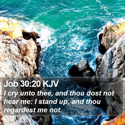 Job 30:20 KJV Bible Verse Image
