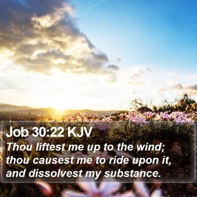 Job 30:22 KJV Bible Verse Image