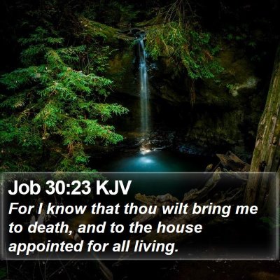 Job 30:23 KJV Bible Verse Image