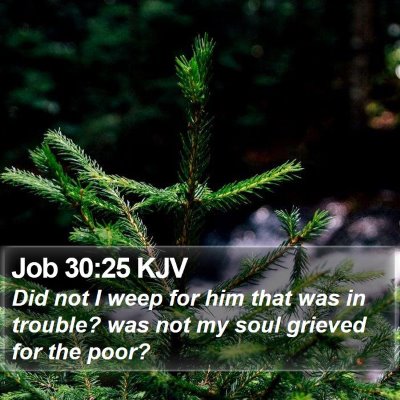 Job 30:25 KJV Bible Verse Image