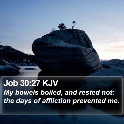 Job 30:27 KJV Bible Verse Image