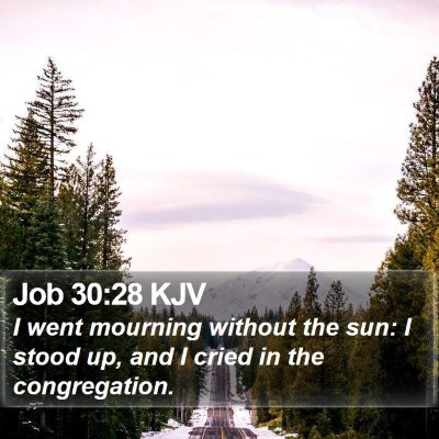 Job 30:28 KJV Bible Verse Image