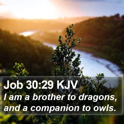 Job 30:29 KJV Bible Verse Image
