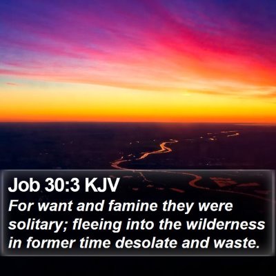 Job 30:3 KJV Bible Verse Image