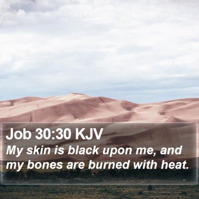 Job 30:30 KJV Bible Verse Image