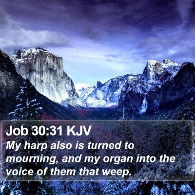 Job 30:31 KJV Bible Verse Image