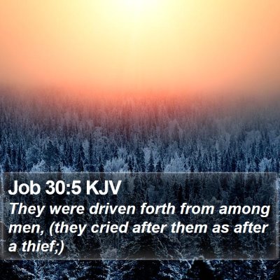 Job 30:5 KJV Bible Verse Image