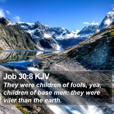 Job 30:8 KJV Bible Verse Image