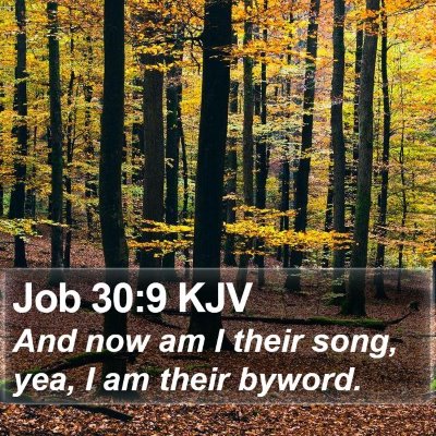 Job 30:9 KJV Bible Verse Image