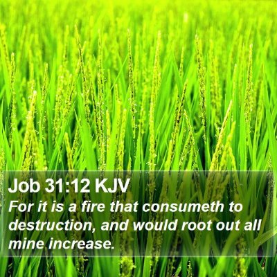 Job 31:12 KJV Bible Verse Image