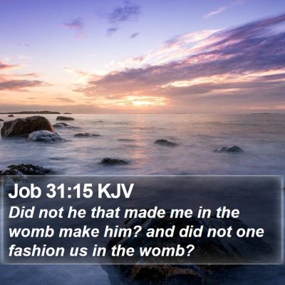Job 31:15 KJV Bible Verse Image