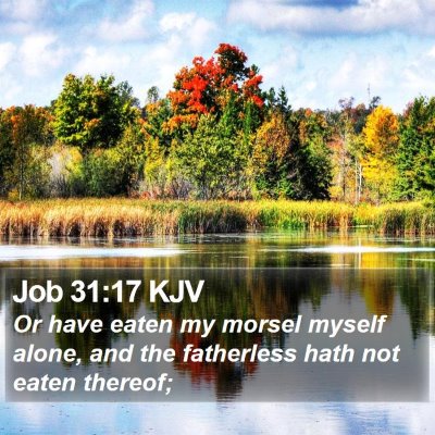 Job 31:17 KJV Bible Verse Image
