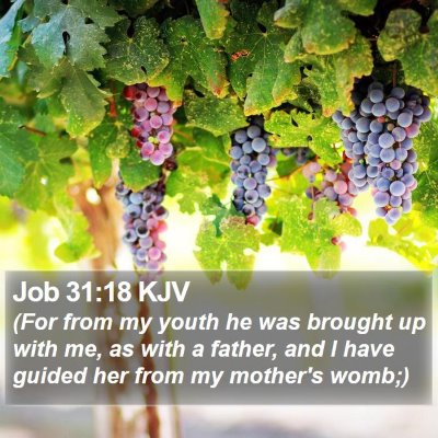 Job 31:18 KJV Bible Verse Image