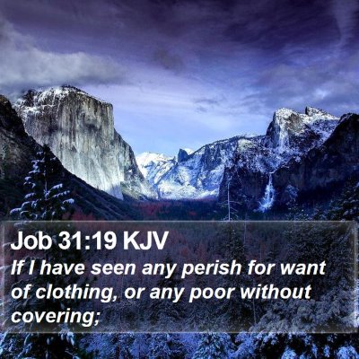Job 31:19 KJV Bible Verse Image