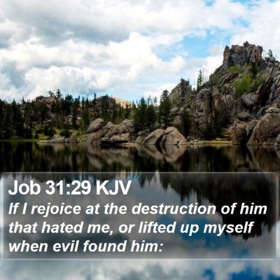 Job 31:29 KJV Bible Verse Image