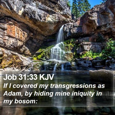 Job 31:33 KJV Bible Verse Image