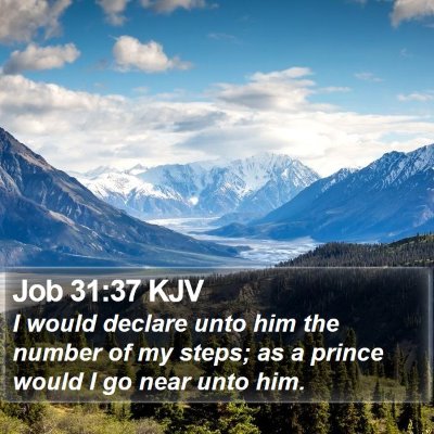Job 31:37 KJV Bible Verse Image