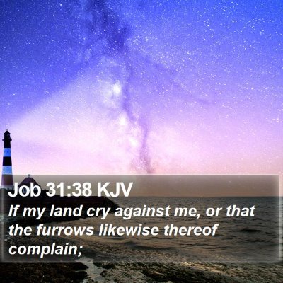 Job 31:38 KJV Bible Verse Image