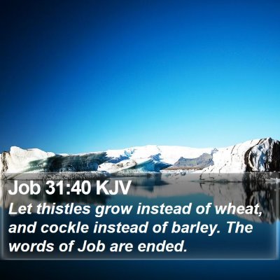 Job 31:40 KJV Bible Verse Image