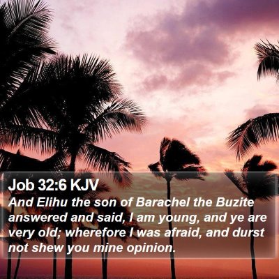 Job 32:6 KJV Bible Verse Image
