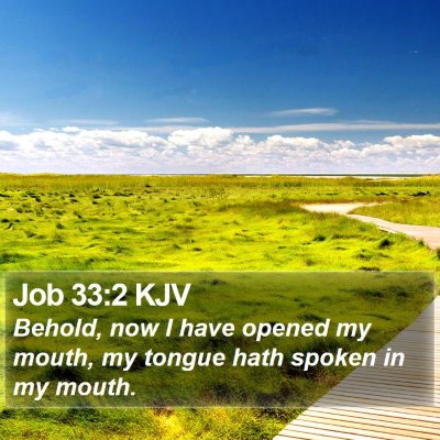 Job 33:2 KJV Bible Verse Image
