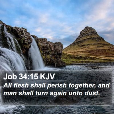 Job 34:15 KJV Bible Verse Image